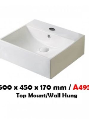Baron A495